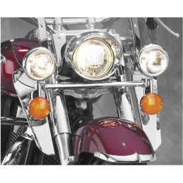 Suzuki VS800 passing spot...